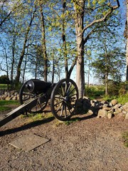 Fototapeta na wymiar old cannon in the park