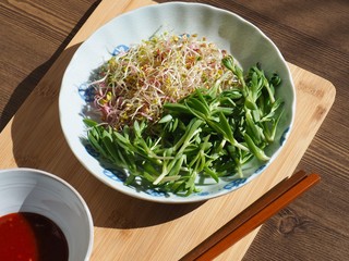 신선한 새싹 돌나물 샐러드 
