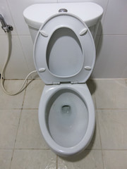 flush White toilet in white bathroom.