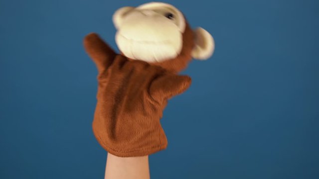 Soft puppet toys on hands on blue background. Concept of puppet show. Close-up of hands with puppet monkey and penguin.