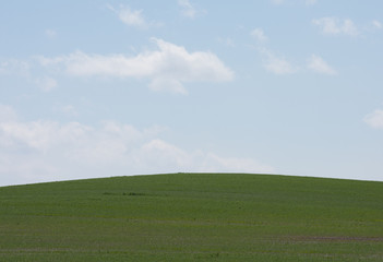 Fototapeta premium A green hill with a blue sky background.