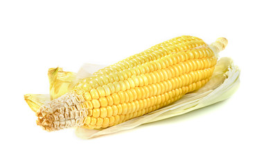 corn isolated on white background