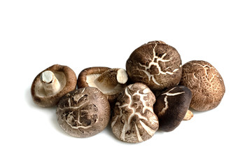 Shiitake Mushrooms isolated on white background