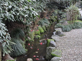 riachuelo 