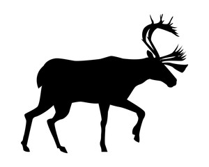 reindeer animal silhouette isolated icon