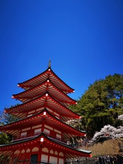 Fototapeta premium Japan Temple