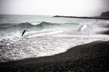 waves on the beach on a rainy day