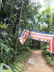 american flag in the park