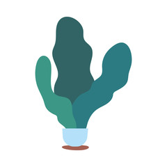 furniture and decoration items at home