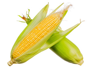 Fresh corn isolated on white background.