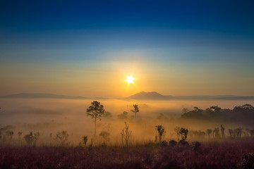 sunrise in the morning