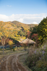 Fototapeta na wymiar Beautiful country roads and autumn scenery in Korea
