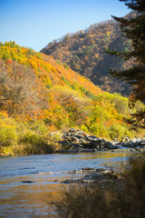 Fototapeta na wymiar Autumn forest river landscape, South Korea