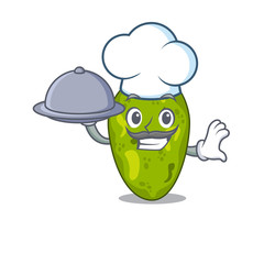 Cyanobacteria chef cartoon character serving food on tray