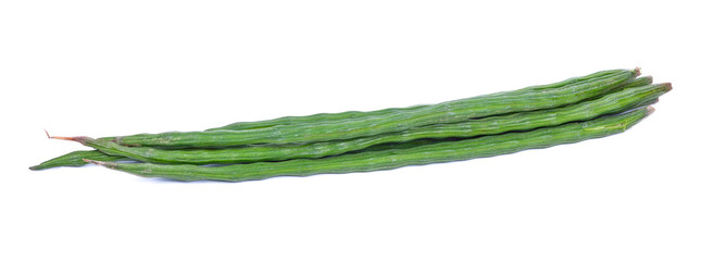 Moringa isolated on a white background