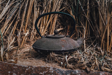 teapot for brewing tea on background of grass - 345838130