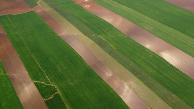 WS AERIAL View of brown and green fields