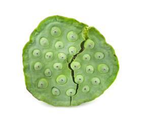 Lotus Seed Shower an isolated on white background