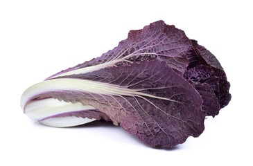 Purple napa cabbage isolated on white background - obrazy, fototapety, plakaty