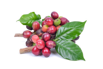 fresh coffee beans on white background