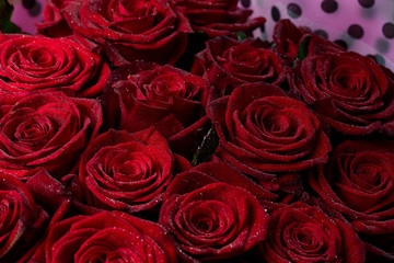 Red roses. Bouquet of flowers.