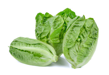 Fototapeta premium Baby green cos lettuce on white background