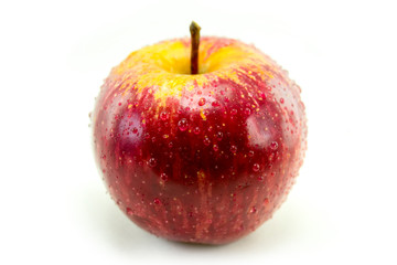 Isolated Apple on white closeup with Dew