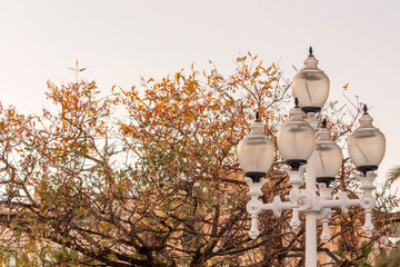 White street lamp made of cast iron with 5 plafonds made of textured glass