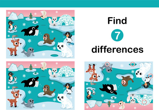 Vector Illustration of Arctic animals.Find 7 differences education game for kids. 