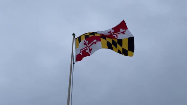 The Maryland state flag