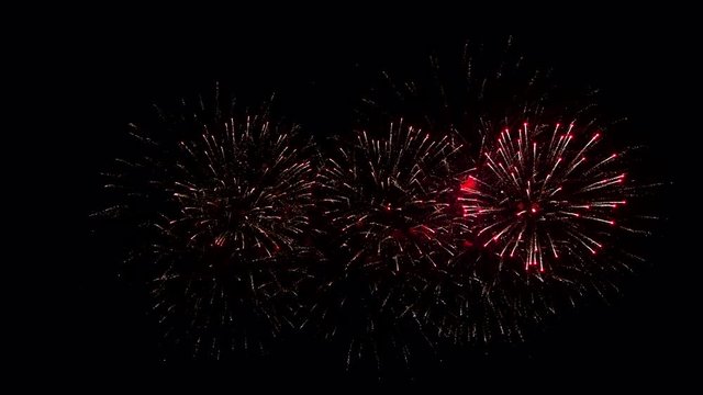Colourful Fireworks in night sky, black isolated background