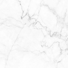 white background marble wall texture