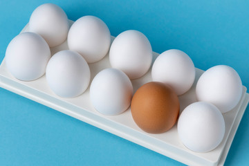 Eggs. Tray of fresh farm chicken eggs on a blue background close-up.