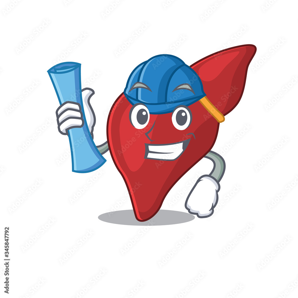 Poster Cartoon character of healthy human liver brainy Architect with blue prints and blue helmet