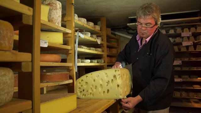 WS Cheese maker cutting slice of Emmental cheese in maturing cellar