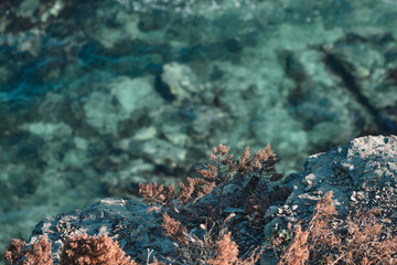 top view from the edge of the cliff on the turquoise sea