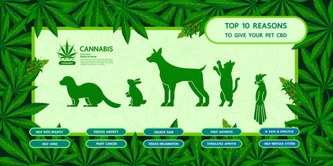 Cannabis benefits for pet health vector illustration.
