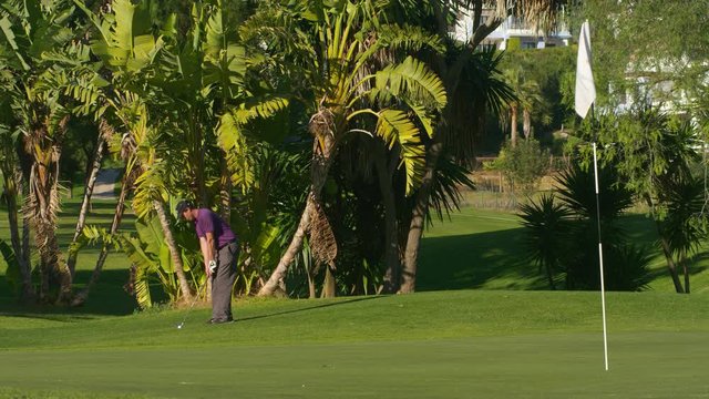 WS Young male golfer playing chipping shot on to green