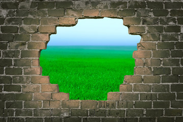 a beautiful green field behind a hole in a brick wall