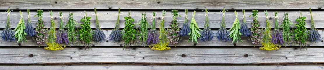 Healthy food, fresh herbs drying on sun background. © Gorilla