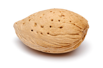 Single almond isolated on white