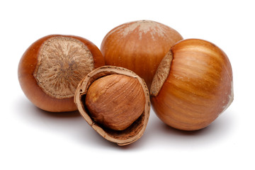 Fresh hazelnut isolated on white