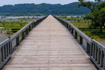Obraz premium 静岡県の蓬莱橋