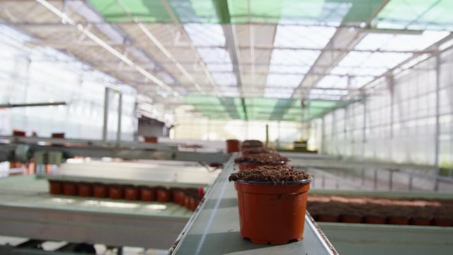 POV MS Plant pots with soil moving along conveyor belt in greenhouse
