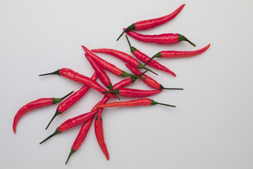 red chili on white background