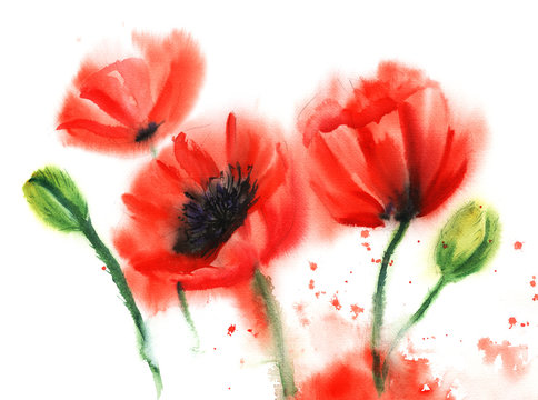 Beautiful summer bouquet of tender poppy flowers. Vivid blossoms and fluffy unopened buds on white background. Hand drawn floral illustration with wet ink effect