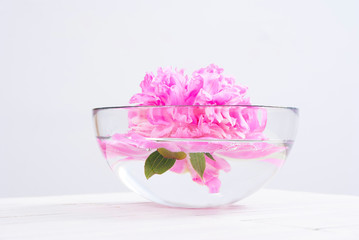 aroma bowl on white wooden