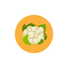 Cauliflower colorful flat icon with long shadow. Cauliflower flat icon