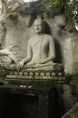 buddha statue
