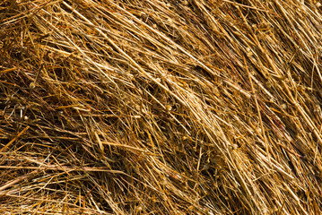 rolled up bale of straw detail
